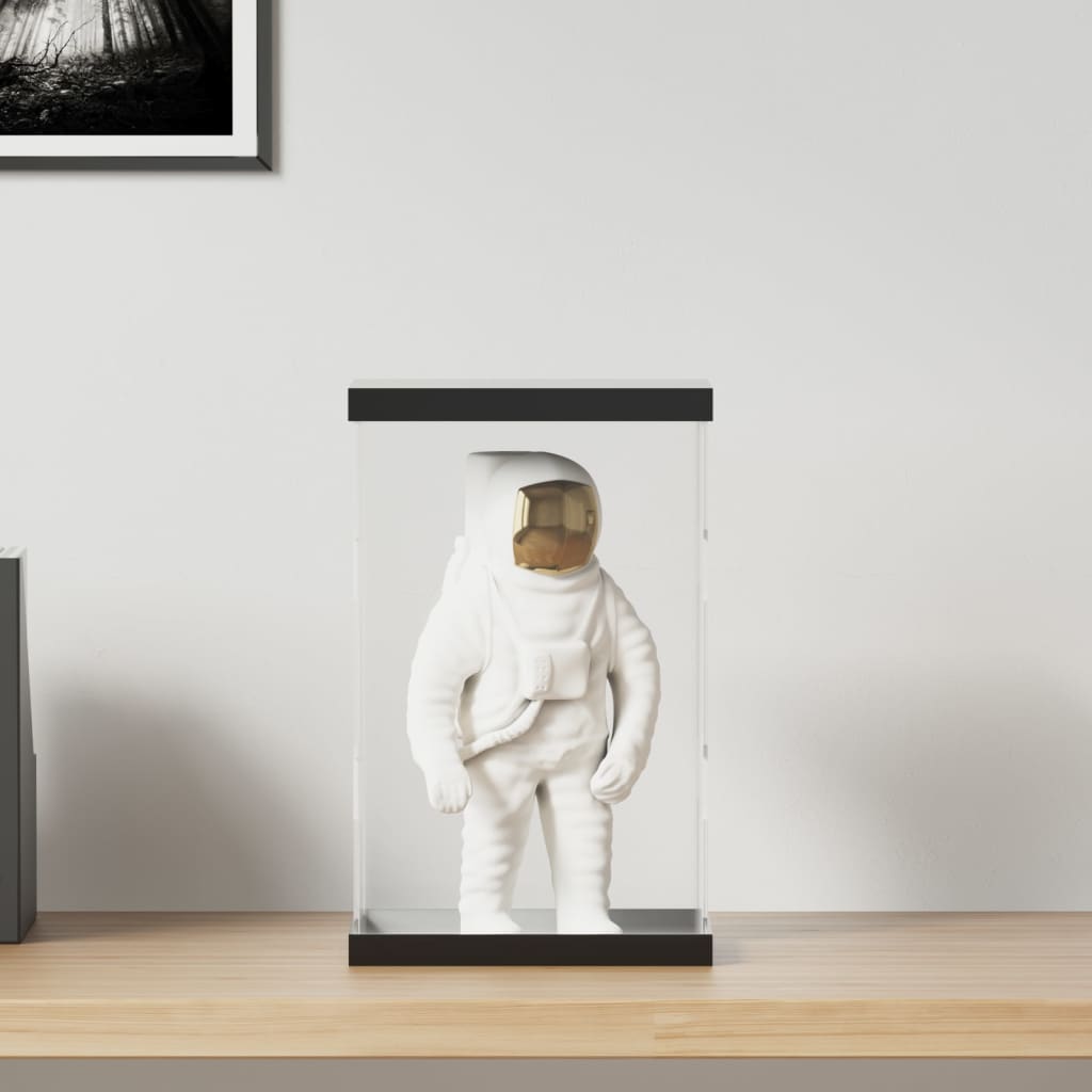 Vitrine Transparent 22x18x35 cm Acryl - Premium Vitrinen - Just €47.33! Shop now at homesales4u