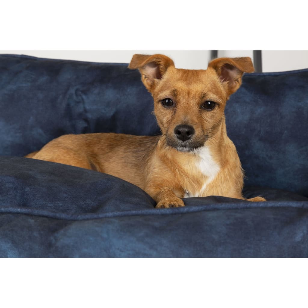 Hundebett Kensington Größe M 60x50 cm Marineblau - Premium Hundebetten - Just €71.91! Shop now at homesales4u