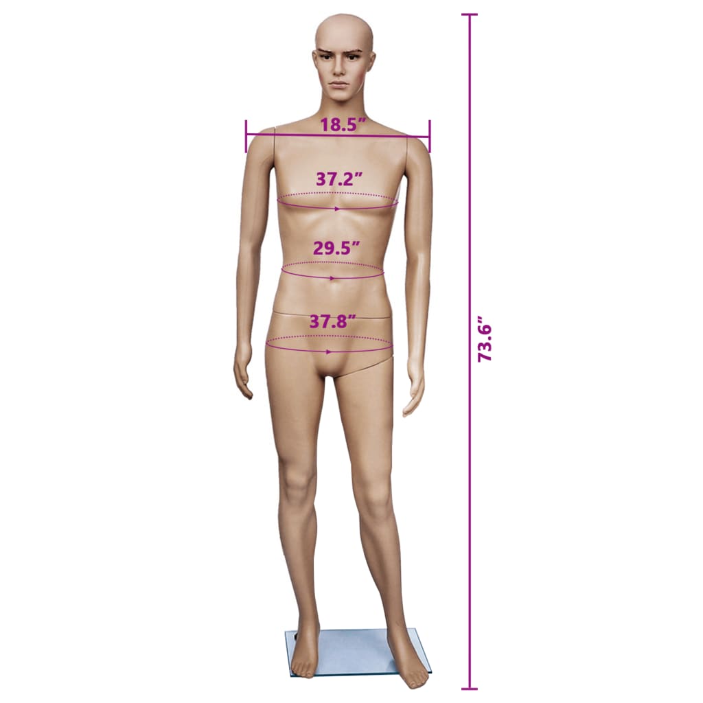 Schaufensterpuppe Mann A - Premium Schaufensterpuppen  - Just €212.30! Shop now at homesales4u