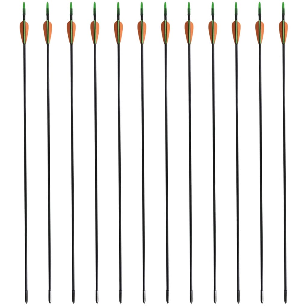 Recurvebogen-Pfeile 30" 0,6 cm Fiberglas 12 Stk. - Premium Pfeile & Bolzen  - Just €46.14! Shop now at homesales4u