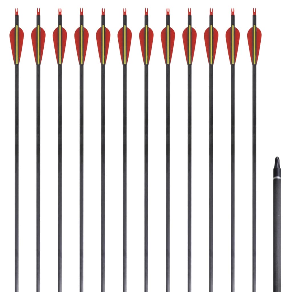 Recurvebogen-Pfeile 30" 0,76 cm Carbon 12 Stk. - Premium Pfeile & Bolzen  - Just €93.55! Shop now at homesales4u