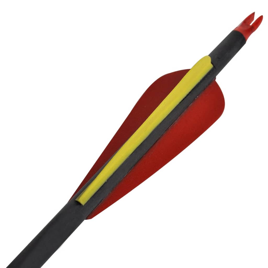Recurvebogen-Pfeile 30" 0,76 cm Carbon 12 Stk. - Premium Pfeile & Bolzen  - Just €93.55! Shop now at homesales4u