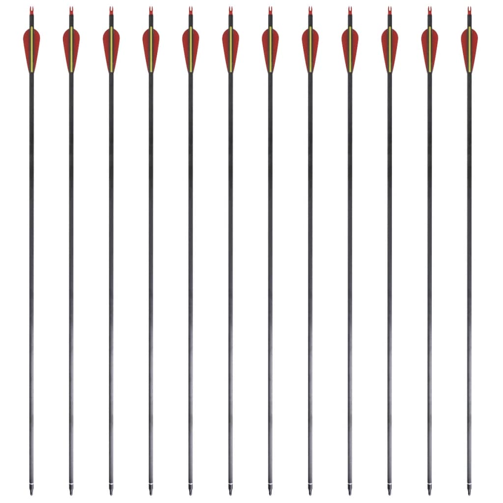 Recurvebogen-Pfeile 30" 0,76 cm Carbon 12 Stk. - Premium Pfeile & Bolzen  - Just €93.55! Shop now at homesales4u