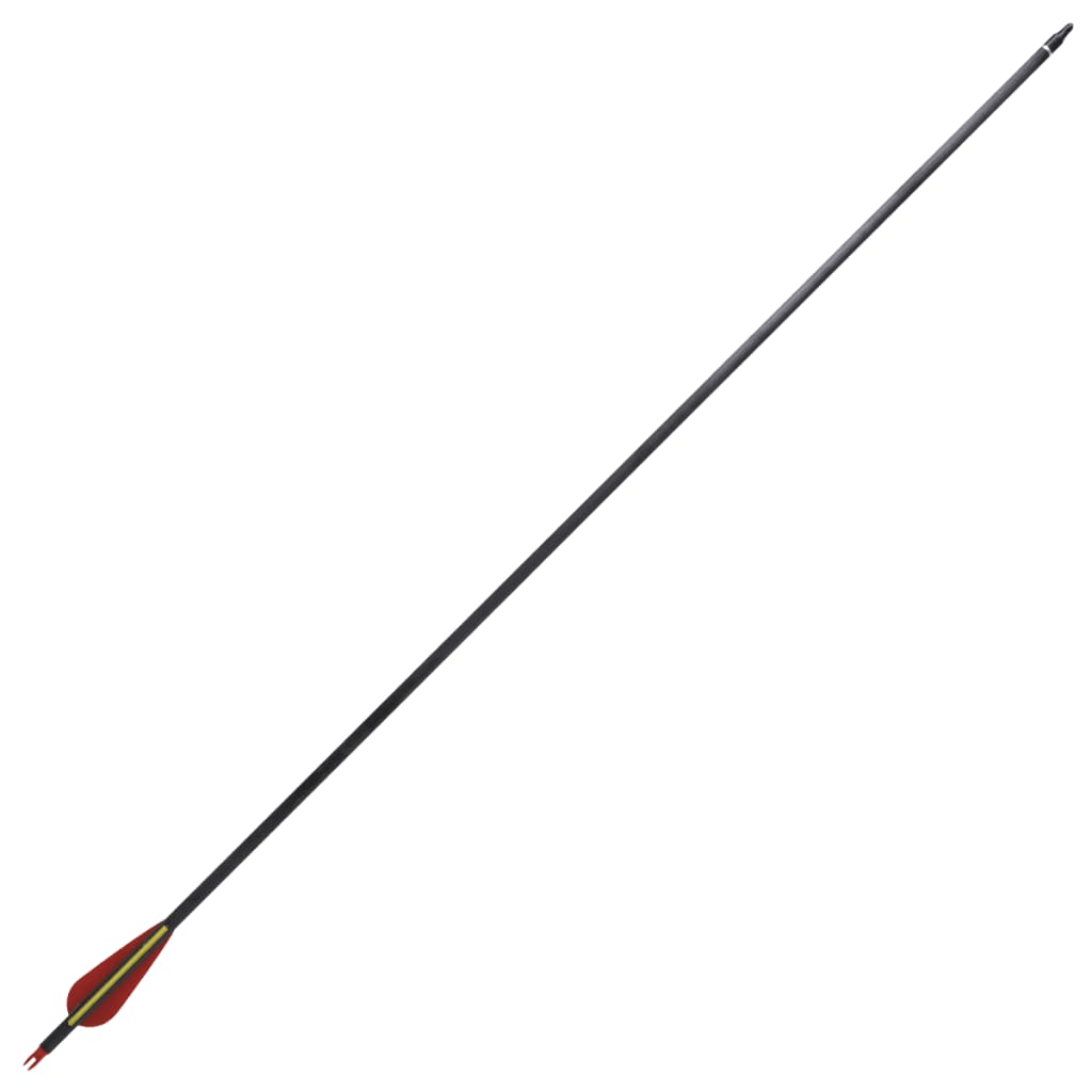 Recurvebogen-Pfeile 30" 0,76 cm Carbon 12 Stk. - Premium Pfeile & Bolzen  - Just €93.55! Shop now at homesales4u