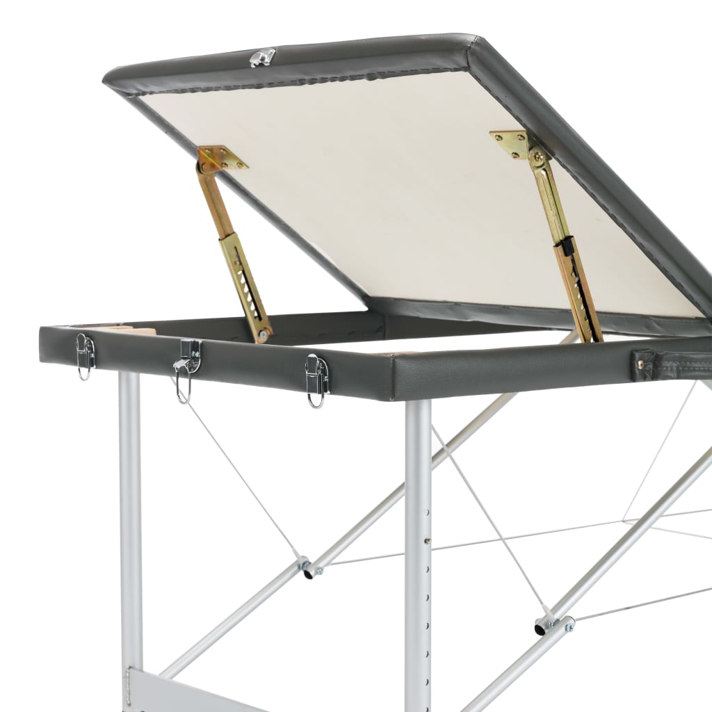 Massagetisch mit 3 Zonen Aluminiumrahmen Anthrazit 186×68 cm - Premium Massagetische  - Just €229.25! Shop now at homesales4u