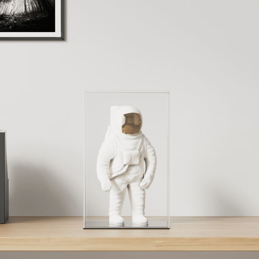 Vitrine Transparent 22x18x35 cm Acryl - Premium Vitrinen  - Just €61.77! Shop now at homesales4u