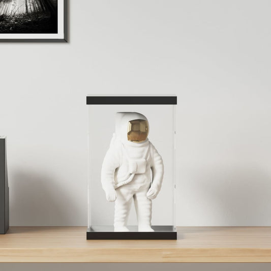Vitrine Transparent 22x18x35 cm Acryl - Premium Vitrinen  - Just €47.33! Shop now at homesales4u