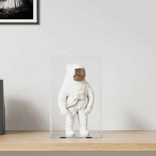 Vitrine Transparent 22x18x35 cm Acryl - Premium Vitrinen  - Just €56.50! Shop now at homesales4u
